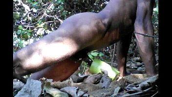 rea forced raped porn in forest