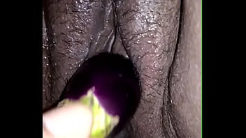 enter brinjal to puss