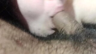 kitty having anal